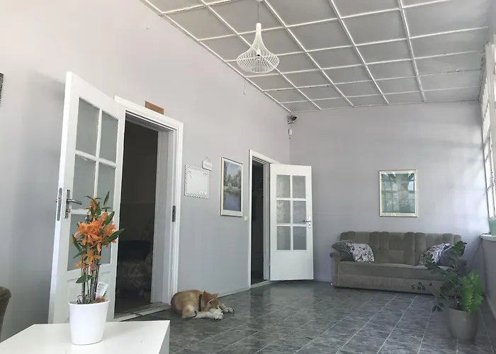 Pensjonat Druspolis 3*