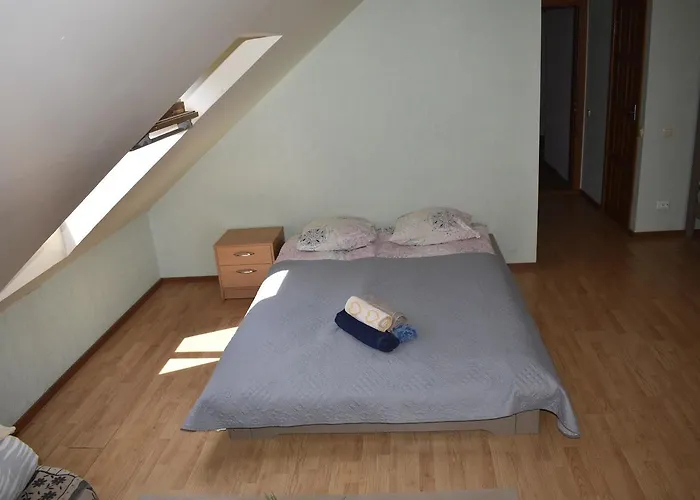 Druspolis 3* Druskieniki