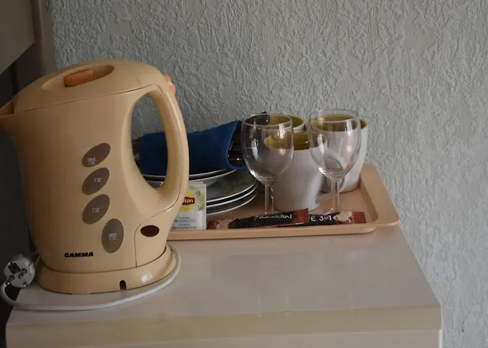 Pensjonat Druspolis Druskieniki